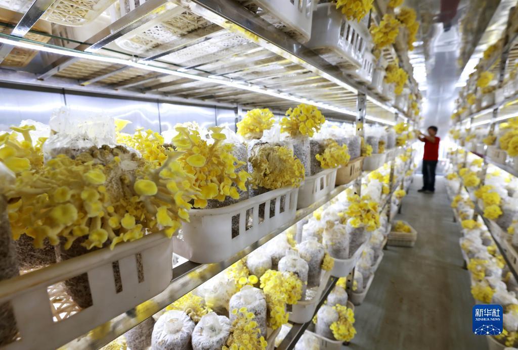 8键水果机一直压一个